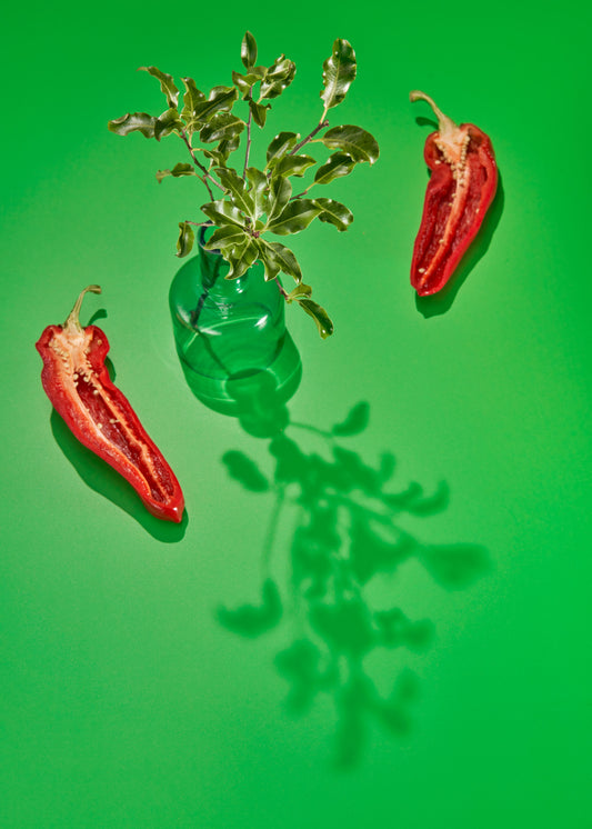 Chroma Vinyl Photography Backdrop by Club Backdrops