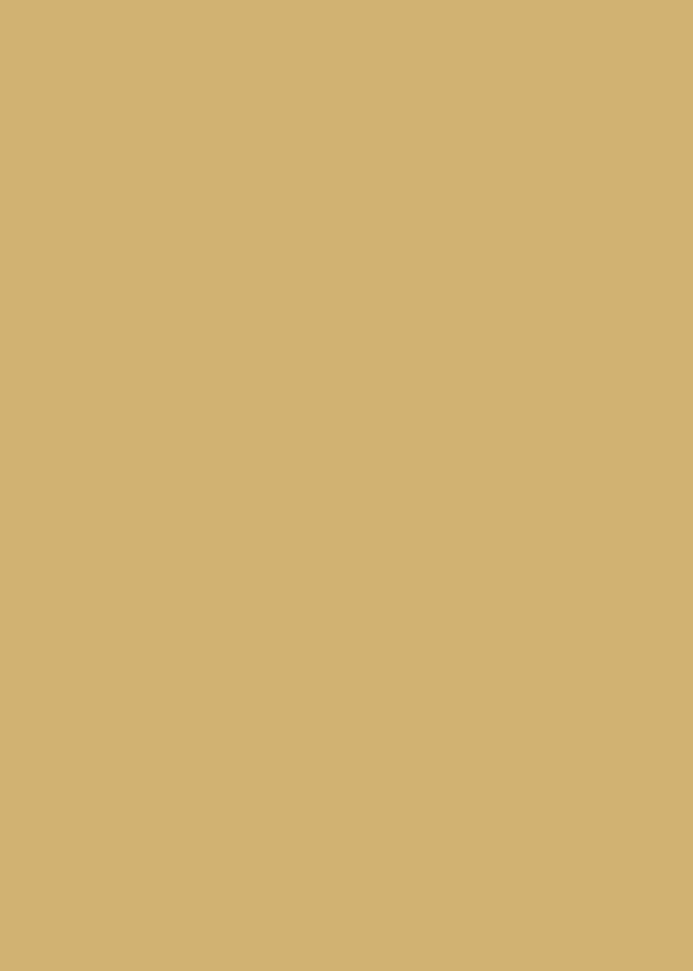 Flaxen Large Vinyl Photography Backdrop by Club Backdrops