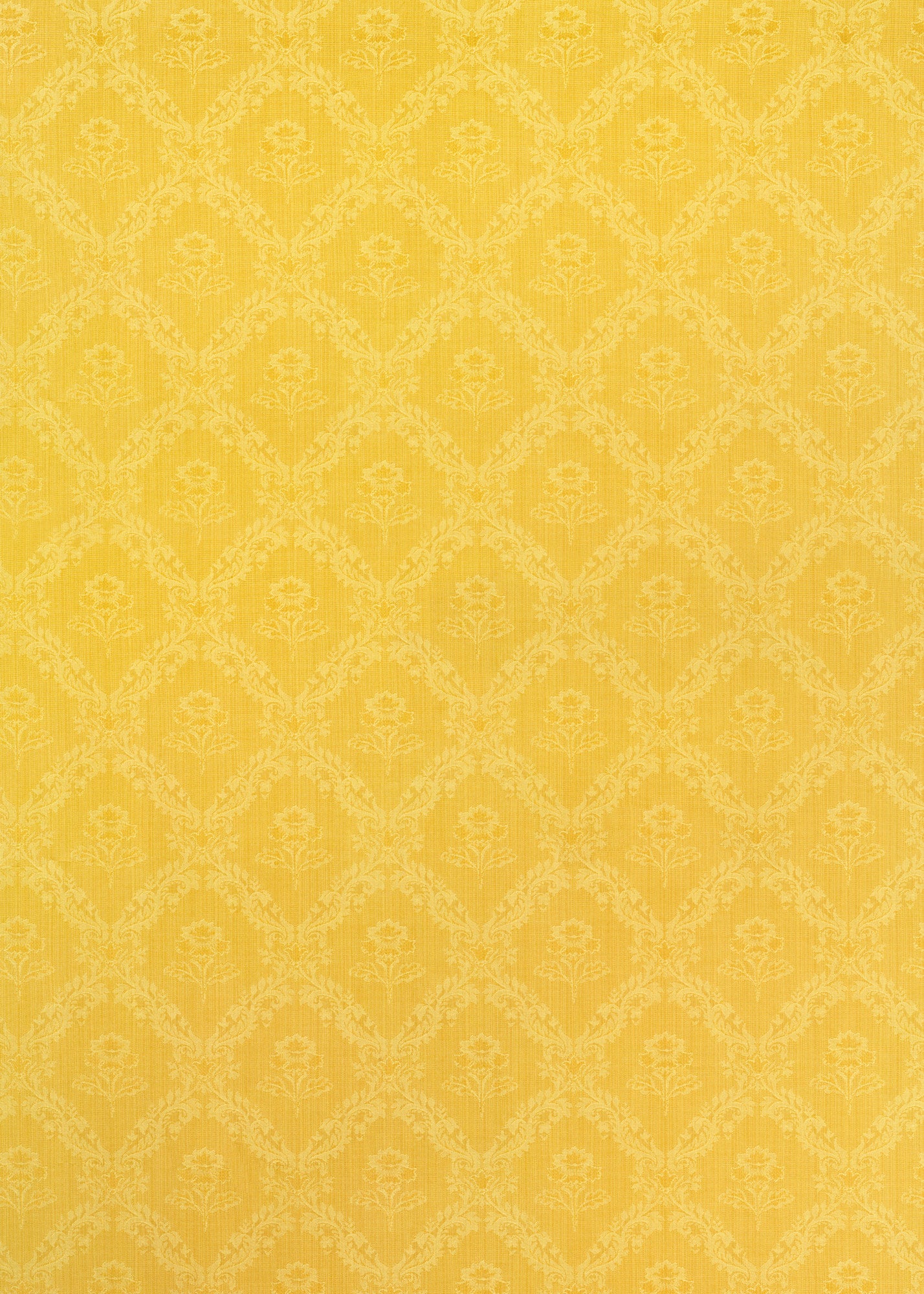 Dandy Large Vinyl Photography Backdrop by Club Backdrops