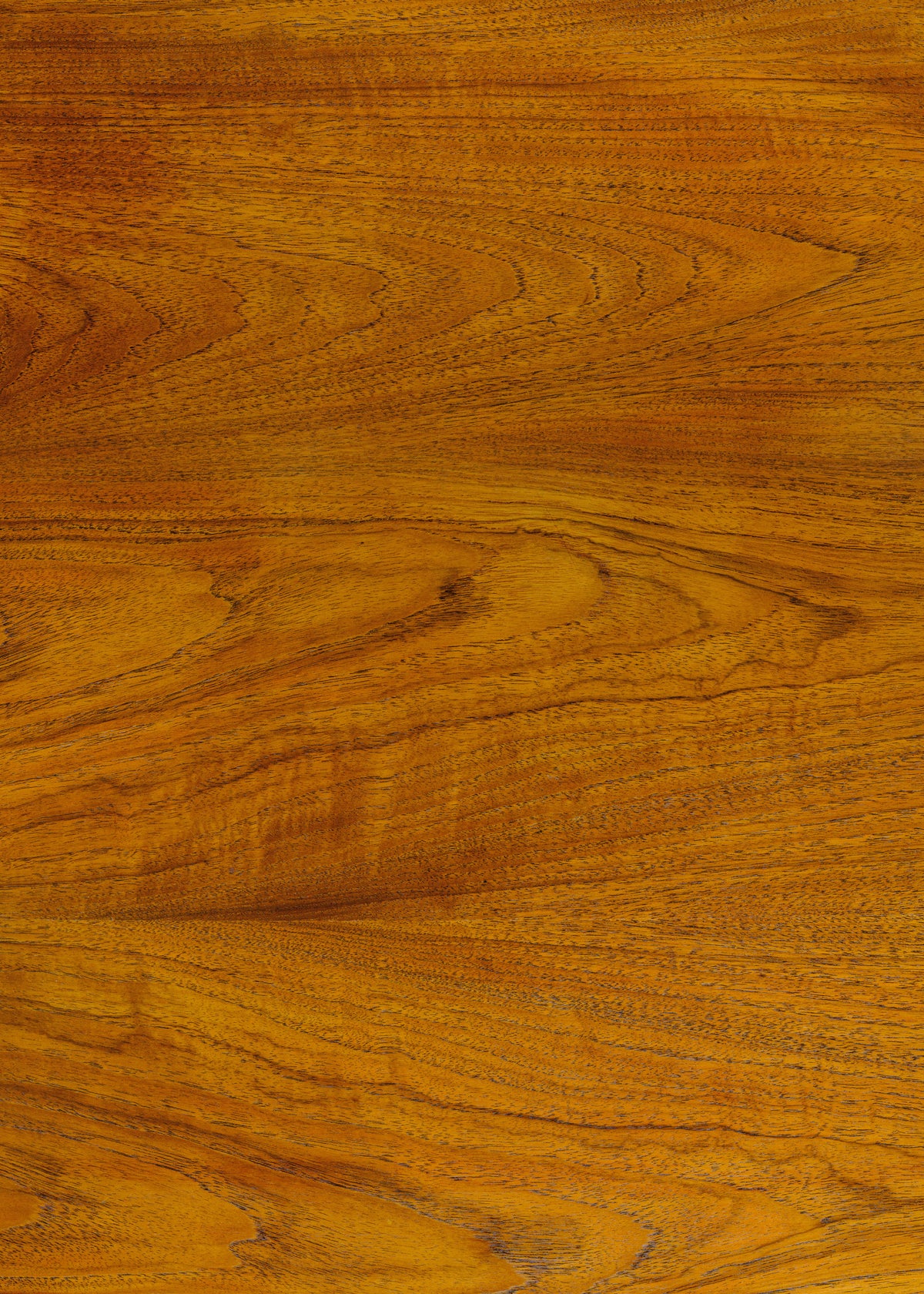 Golden Teak